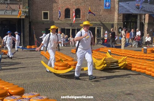 Alkmaar Cheese Market｜How to Get There and What to Expect