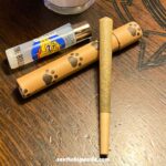 Amsterdam Coffee Shops – Cannabis Experience for  Beginners