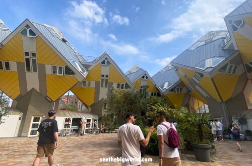 Things to Do in Rotterdam in 1 Day: Kinderdijk & More