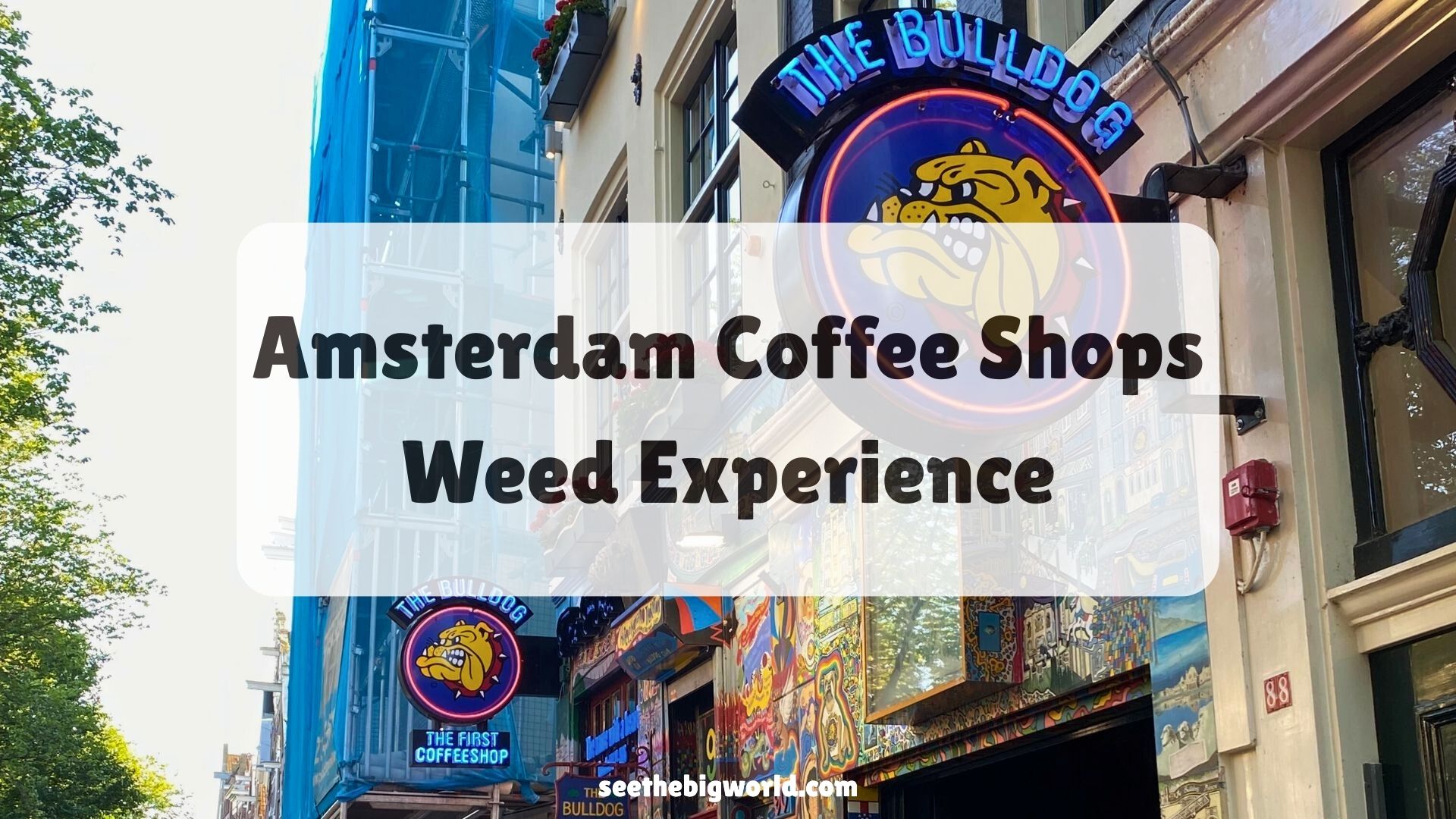 Amsterdam Coffee Shop (Weed) Experience