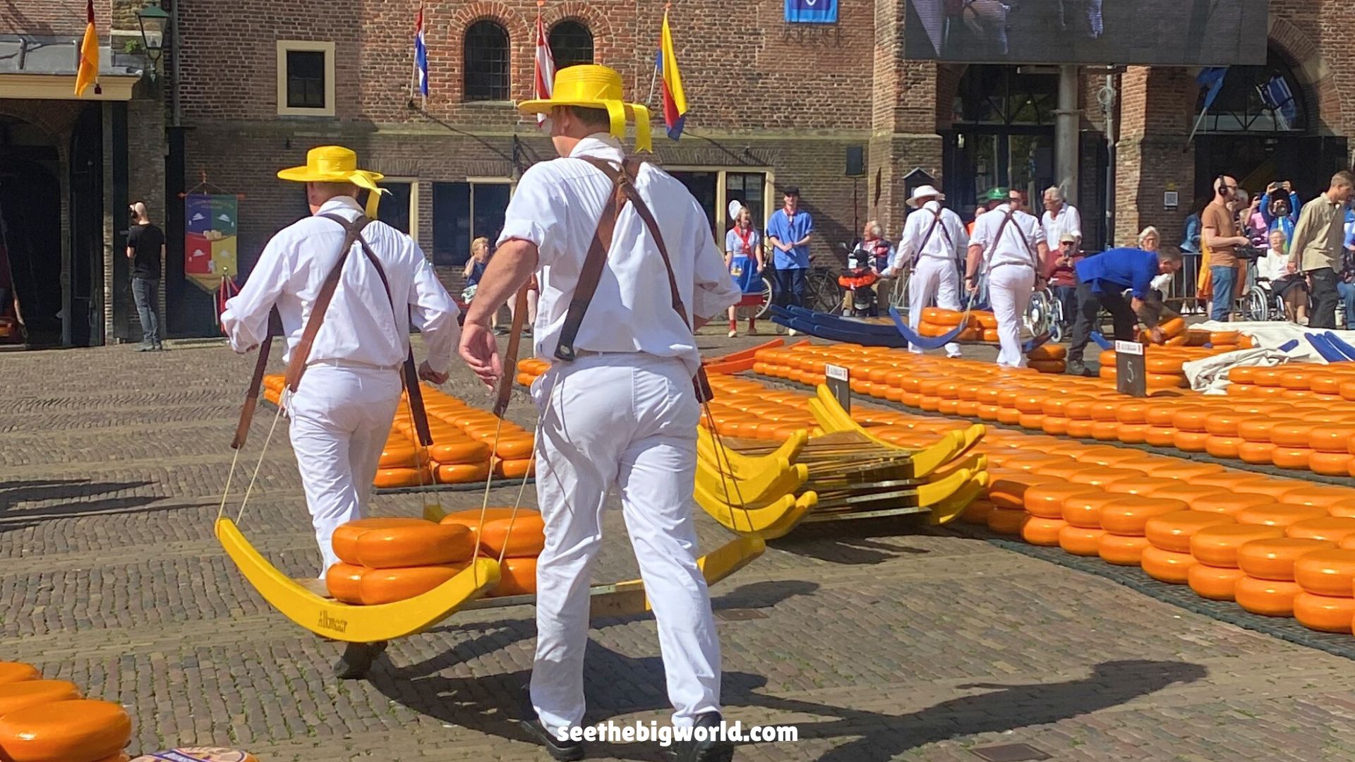 Alkmaar Cheese Market|How to Get There and What to Expect
