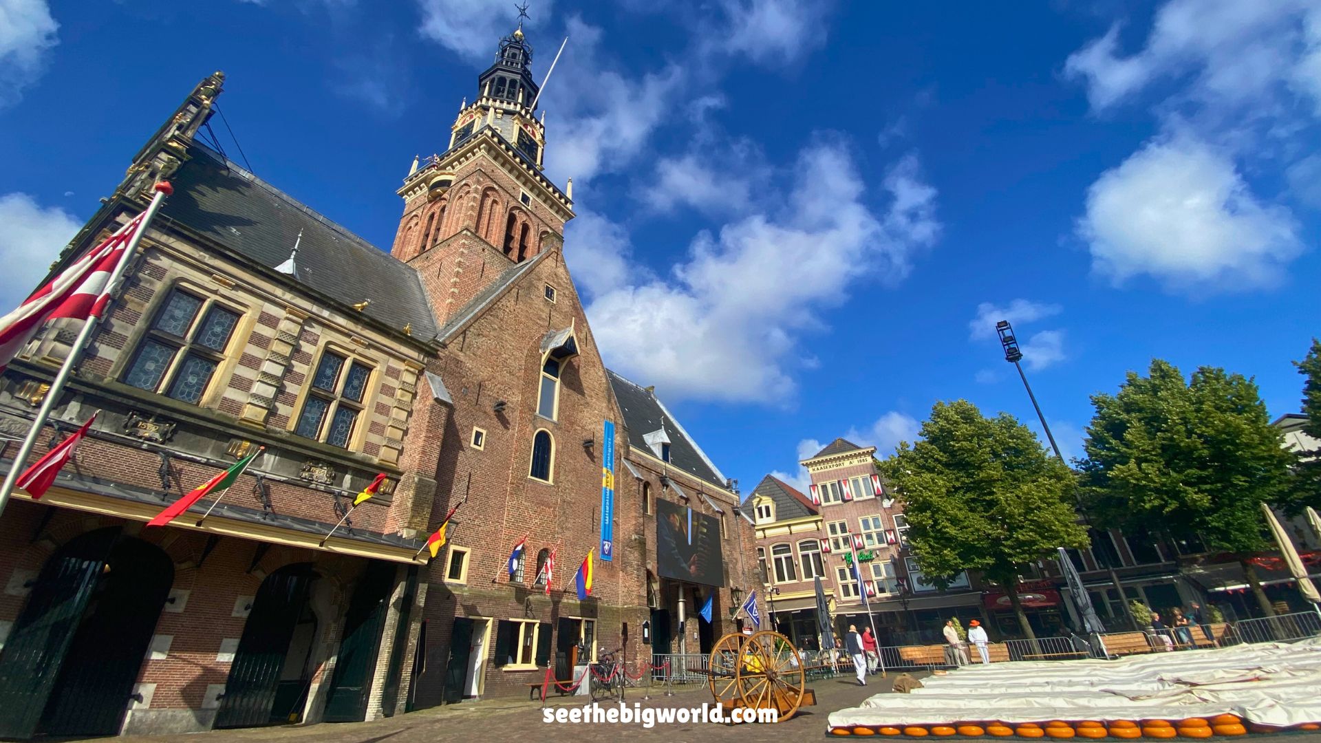 Alkmaar Cheese Market|How to Get There and What to Expect
