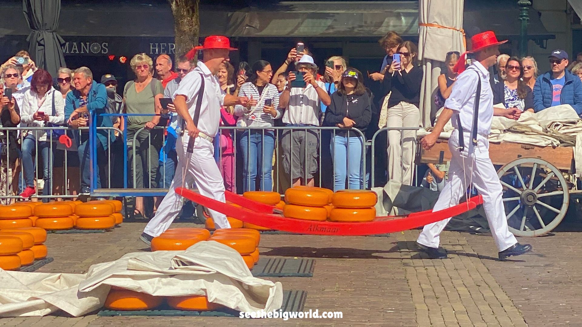 Alkmaar Cheese Market|How to Get There and What to Expect