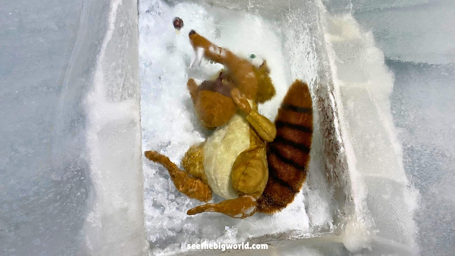 少女峰攻略｜歐洲之巔交通路線、票價、天氣與景點體驗