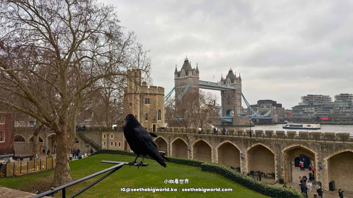 倫敦塔攻略｜皇冠珠寶、處決史｜單買門票還是用London Pass？